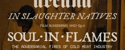 Soul in flames release party (Arcana & In Slaughter Natives live)